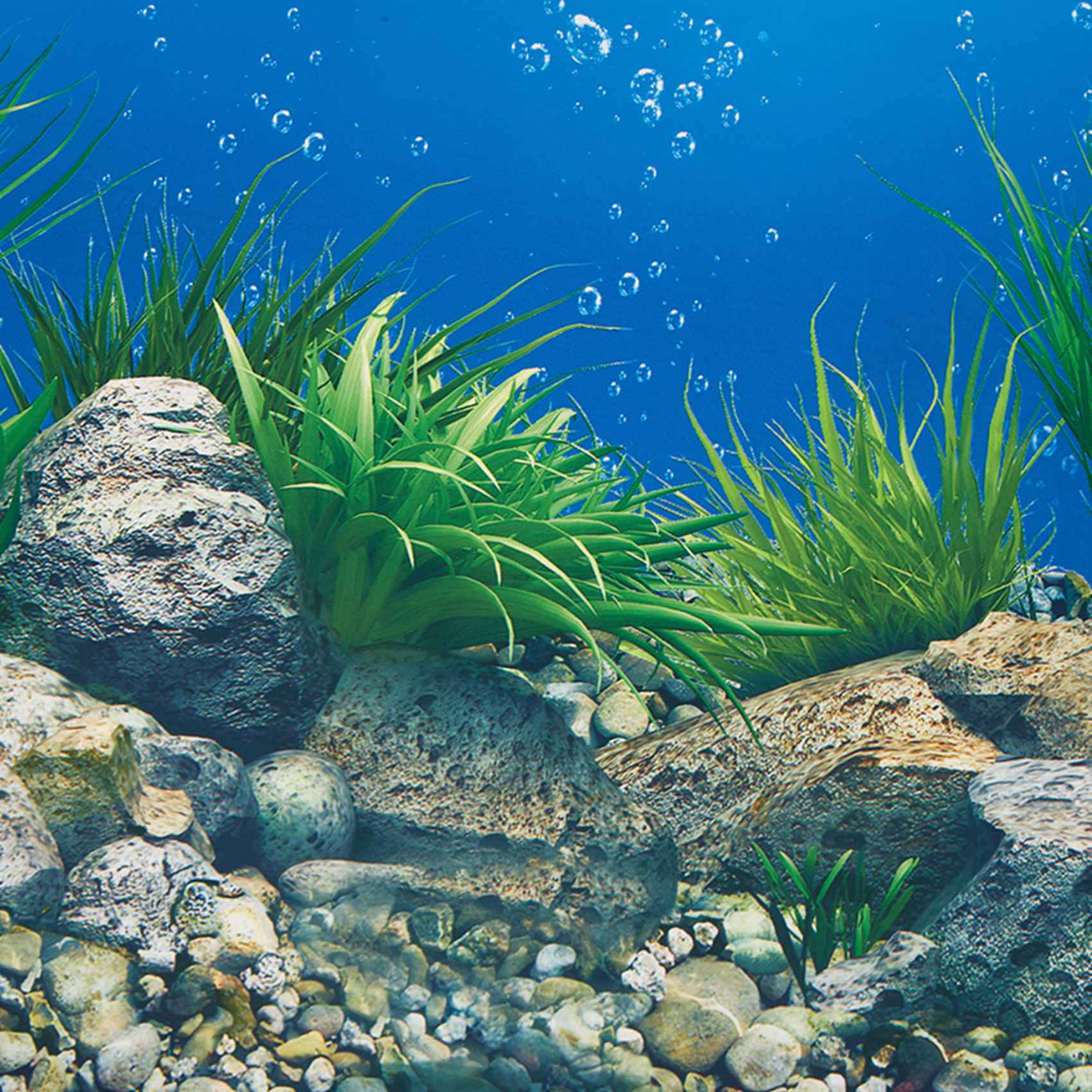Aquarium Fish Wallpaper Hd - AB33-수족관 배경 종이 HD 그림 7D