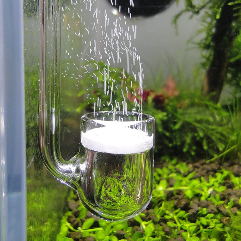 Co2 Diffuser Planted - 탱크에 심은 수족관용 D0AD 유리 CO2