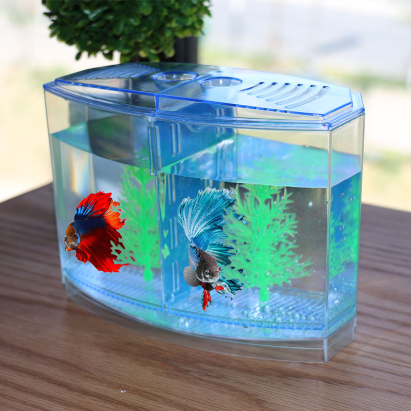 Aquarium Fish Keeping - 독창적인 물고기 탱크 격리 상자, 흰색