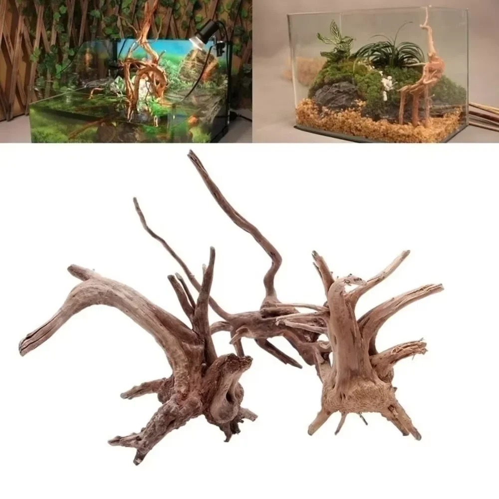 Aquarium Fish Land - (15-20cm) 천연 유목 수족관 장식 -
