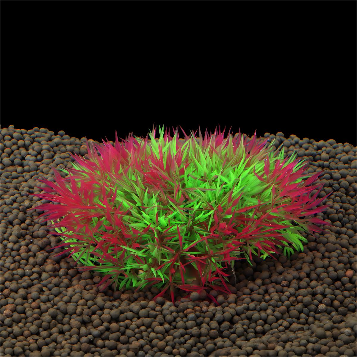 인공 수초 어항 장식물 어항 풍경 잔디 장식 플라스틱  - Aquarium Fish Enrichment 리뷰 및 가격