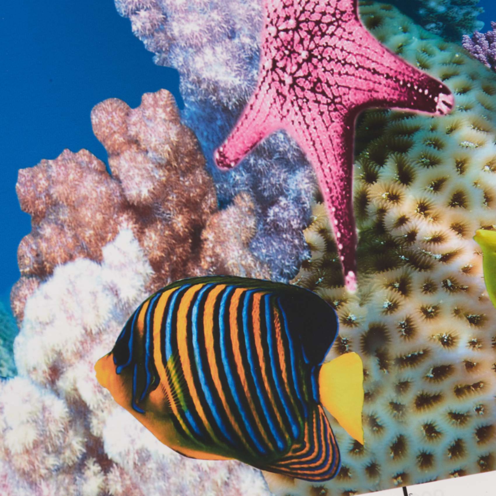 AB33-수족관 배경 종이 HD 그림 7D 3차원 물고 - Aquarium Fish Wallpaper Hd 리뷰 및 가격