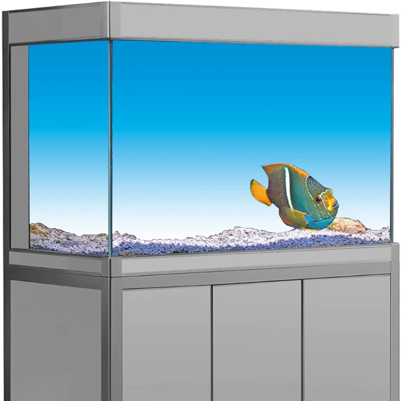 수족관 배경 스티커, 블루 트랜지션 HD 페인팅 벽지  - Aquarium Fish Wallpaper Hd 리뷰 및 가격