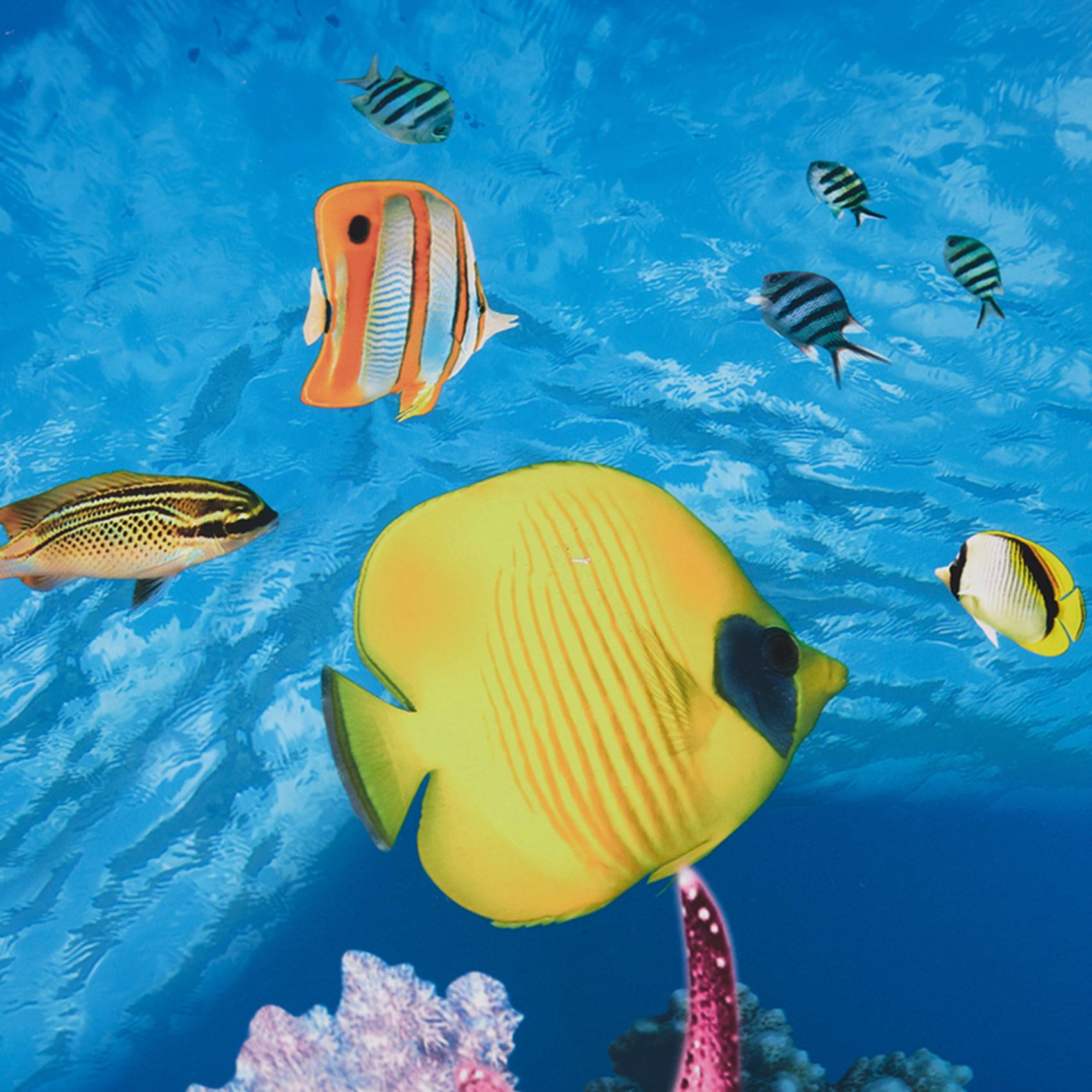 ABWR-수족관 배경지 HD 사진 7D 입체 어항 배경 - Aquarium Fish Wallpaper Hd 리뷰 및 가격