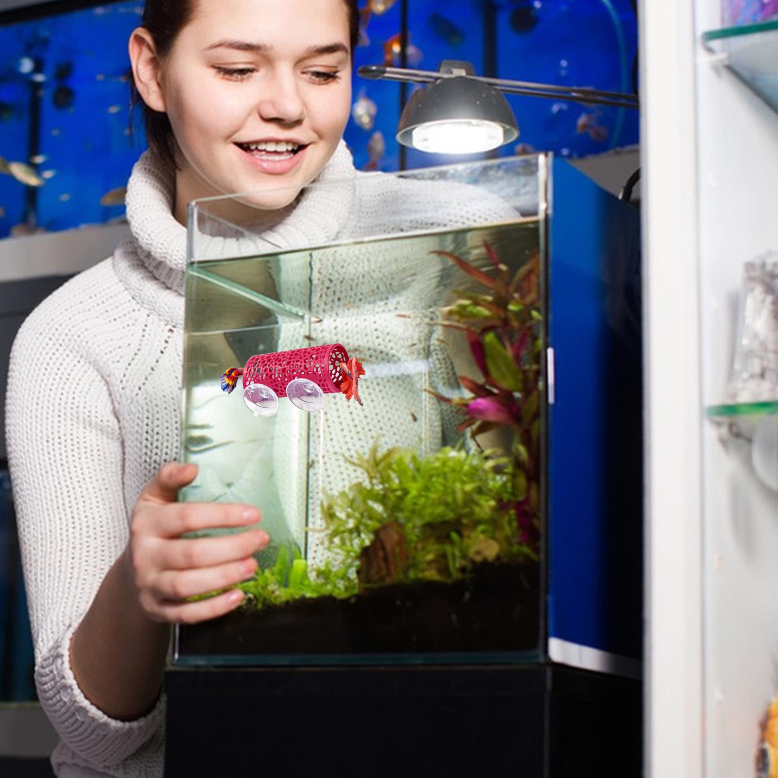 베타 생태 환경 휴식처 장식품 물고기 터널 장난감, 수 - Aquarium Fish Youtube 리뷰 및 가격
