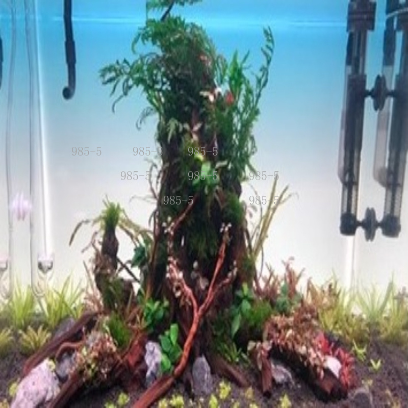 어항 아크릴 발광 배경판 백색광 RGB 레인보우 그라데 - Aquarium Fish Rainbow 리뷰 및 가격