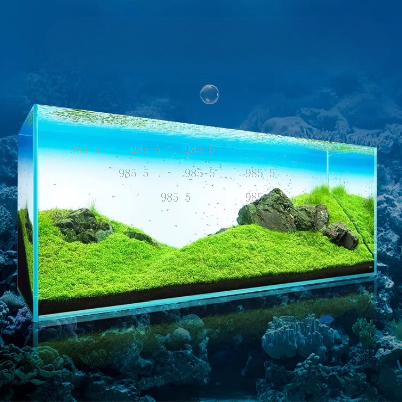 어항 아크릴 발광 배경판 백색광 RGB 레인보우 그라데 - Aquarium Fish Rainbow 리뷰 및 가격