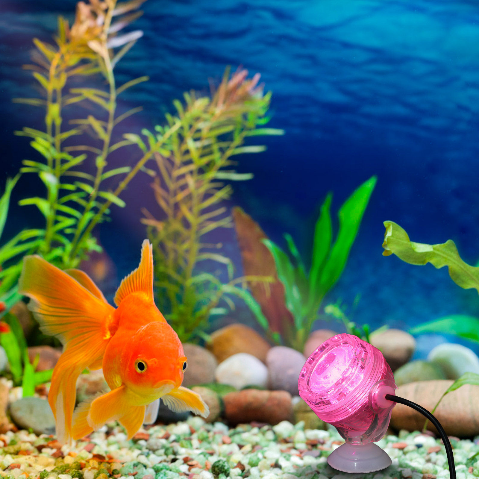 LED 수족관 조명, 방수 기능, 색상 변경 가능, 어 - Aquarium Fish Rainbow 리뷰 및 가격