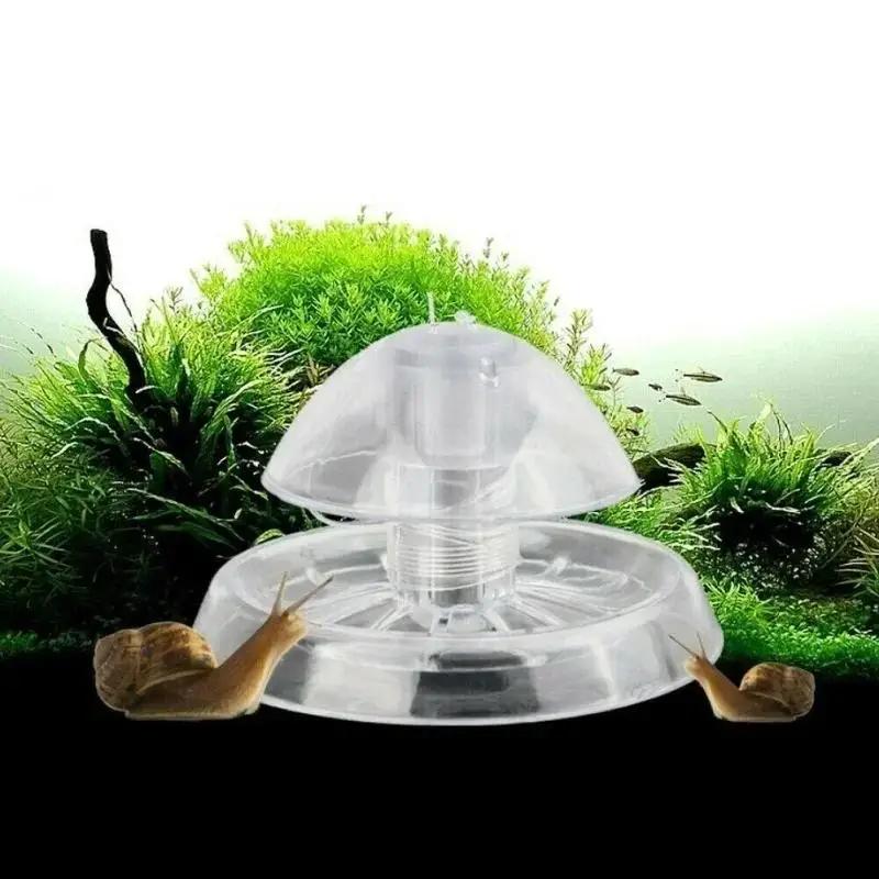 2026년형 새로운 6/8CM 투명 플라스틱 달팽이 트 - Aquarium Fish Land 리뷰 및 가격