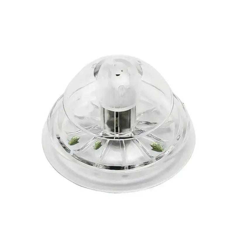 2026년형 새로운 6/8CM 투명 플라스틱 달팽이 트 - Aquarium Fish Land 리뷰 및 가격
