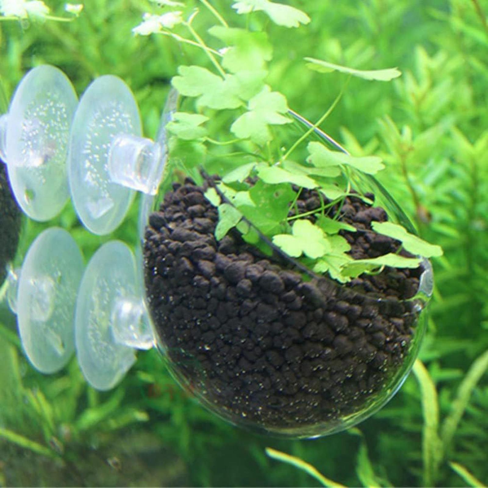 수족관 식물 홀더 유리 수생 식물 화분 흡착판 포함 생 - Aquarium Fish Enrichment 리뷰 및 가격