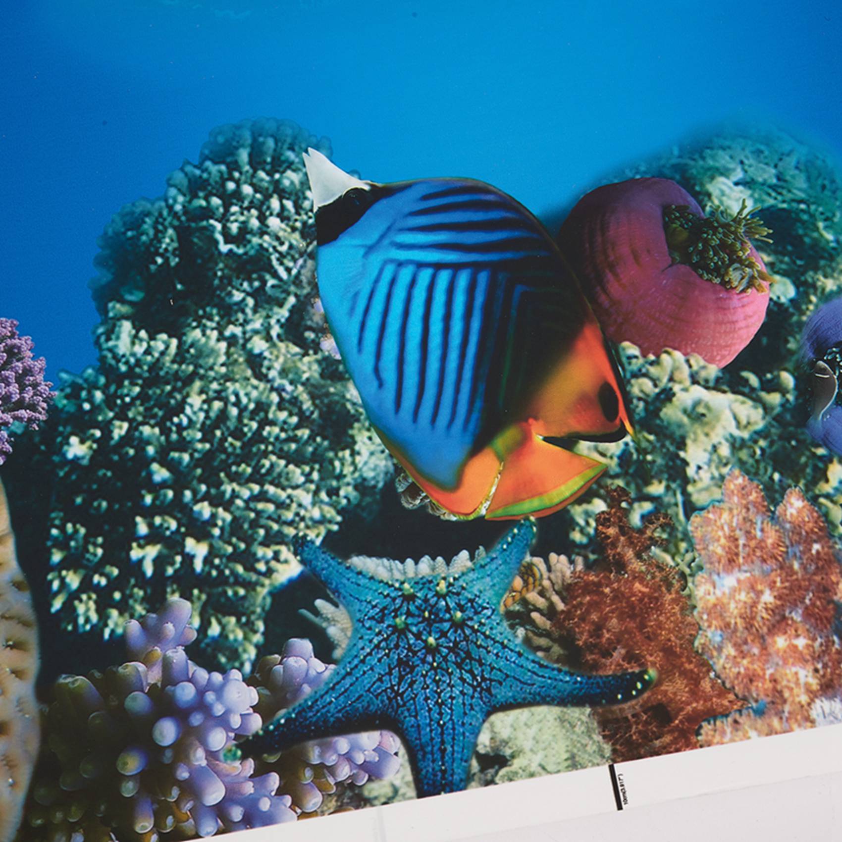 A77I 수족관 배경지 HD 사진 7D 입체 어항 벽지 - Aquarium Fish Wallpaper Hd 리뷰 및 가격