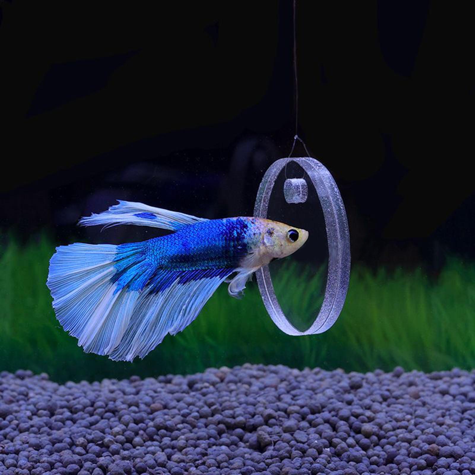 2개들이 흡착식 물고기 먹이 링, 거북이, 구피, 베타 - Aquarium Fish Enrichment 리뷰 및 가격