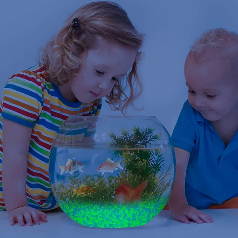 1000pcs 어두운 자갈 돌에 3-5mm 빛나는 모래 - Aquarium Fish Land 리뷰 및 가격
