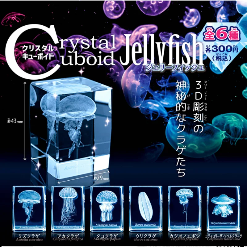 일본 가샤폰 해파리 3D 크리스탈 직육면체 바위 어항  - Aquarium Fish Keeping 리뷰 및 가격