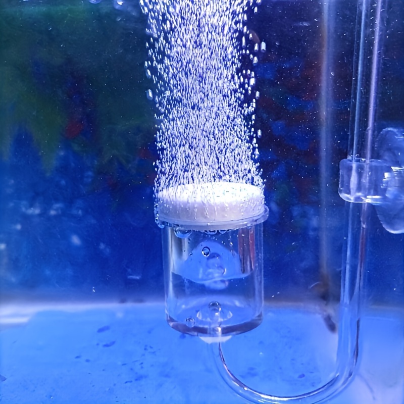 수족관 유리 CO2 무화기 디퓨저 버블 카운터, 수족관 - Co2 Diffuser Planted 리뷰 및 가격