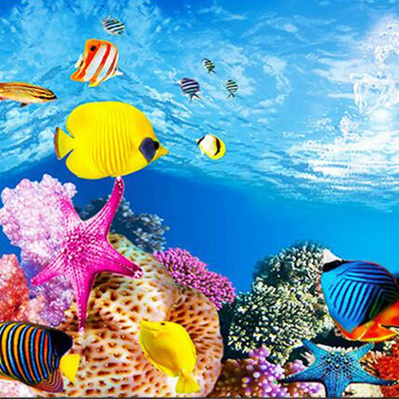 BAAU 아쿠아리움 배경지 HD 사진 7D 입체 어항  - Aquarium Fish Wallpaper Hd 리뷰 및 가격