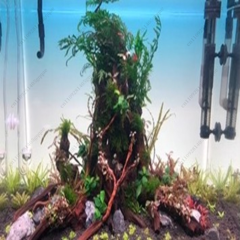 어항 배경판 LED 수족관 잔디 탱크 화이트 라이트 R - Aquarium Fish Rainbow 리뷰 및 가격