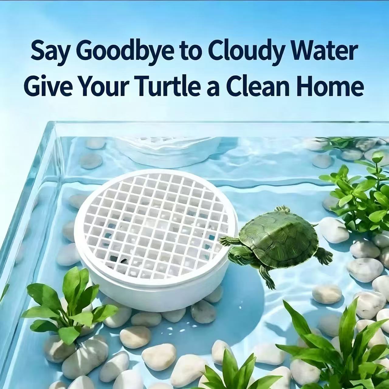 거북이 배설물 수집기 분리형 수족관 거북이 배설물 제거 - Aquarium Fish Keeping 리뷰 및 가격