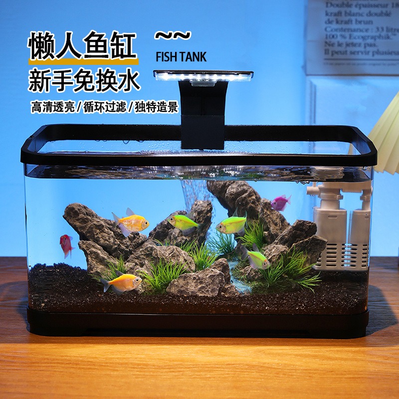 데스크탑 어항 순환 필터 수족관, 무소음 생태 어항,  - Fish Tank Filter Aquarium 리뷰 및 가격