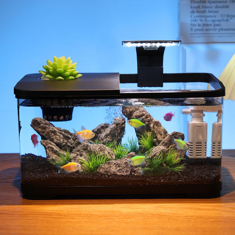 데스크탑 어항 순환 필터 수족관, 무소음 생태 어항,  - Fish Tank Filter Aquarium 리뷰 및 가격
