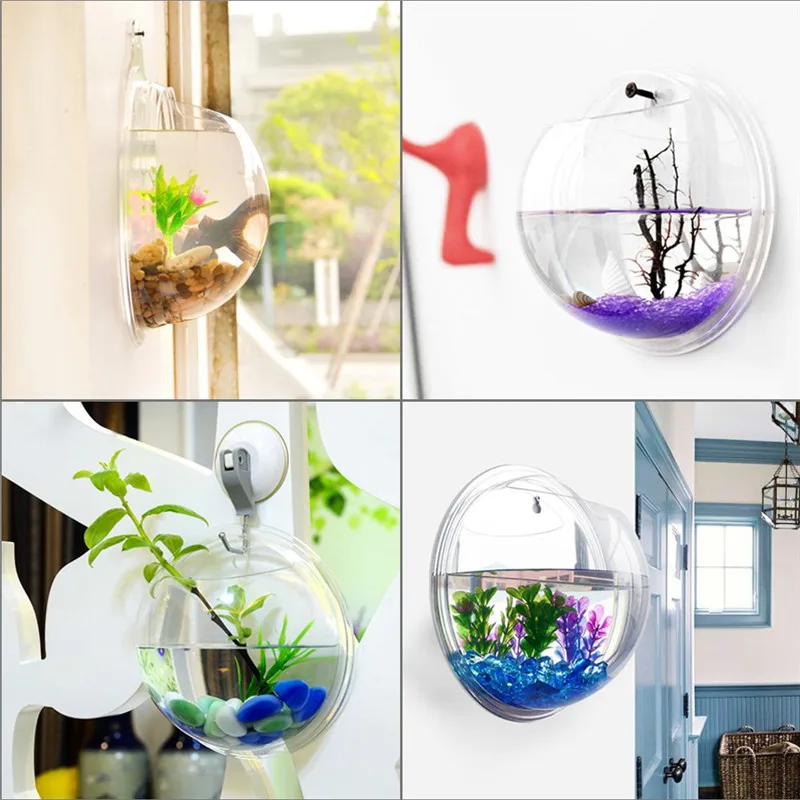 투명 아크릴 걸이식 벽 수족관, 식물 꽃병 꽃, 잔디  - Aquarium Fish Enrichment 리뷰 및 가격