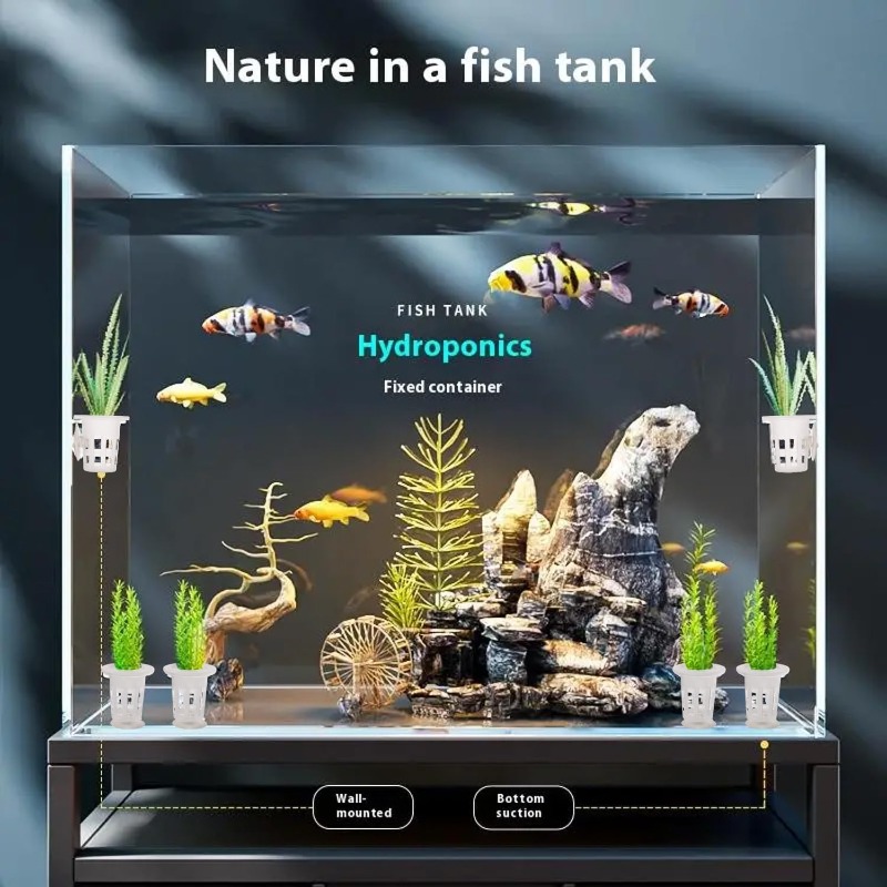 10/20/30Pcs 플라스틱 수족관 심기 컵, 흡착판 - Aquarium Fish Enrichment 리뷰 및 가격