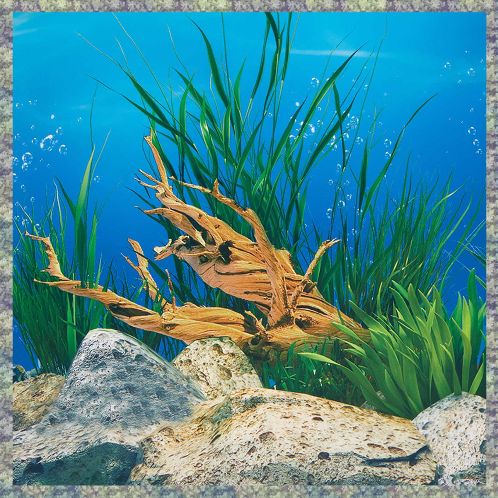 우승 수족관 배경 종이 HD 그림 7D 입체 물고기 탱 - Aquarium Fish Wallpaper Hd 리뷰 및 가격