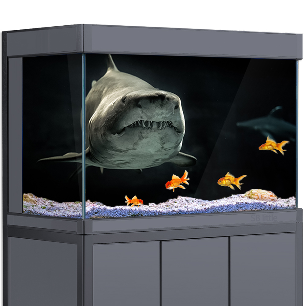 수족관 배경 3D 상어 블랙 어두운 바다 수중 HD 인 - Aquarium Fish Wallpaper Hd 리뷰 및 가격